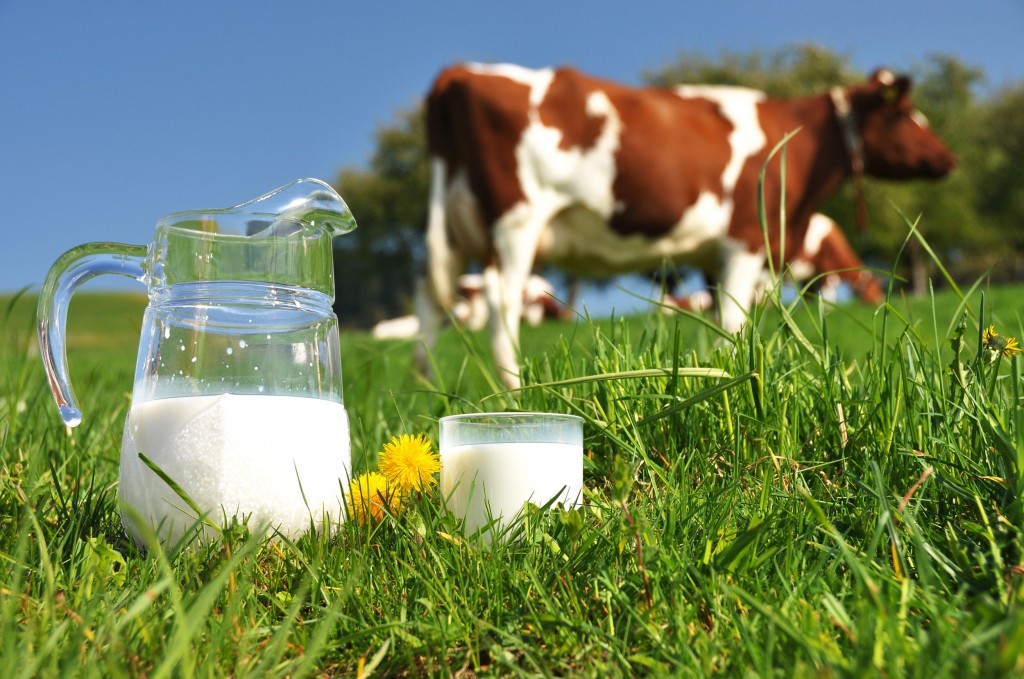 С нескольких предприятий Беларуси снят запрет на поставки молочной продукции