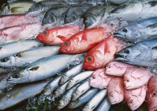 Стали известны все положения ТР ЕАЭС «О безопасности рыбы и рыбной продукции»