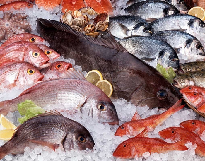 Требования техрегламента ЕАЭС «О безопасности рыбы и рыбной продукции»