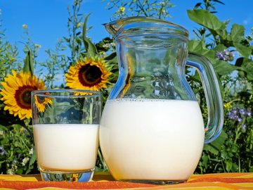 В список стандартов для «молочного» регламента готовятся правки