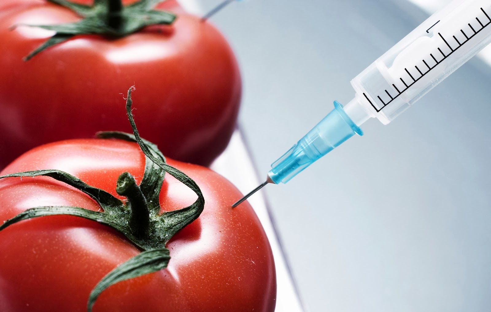 Изменены требования к маркировке пищевых продуктов, содержащих ГМО
